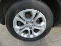 Land Rover Range Rover Evoque S Hybrid PANO/LEDER/360° Schwarz - thumbnail 29