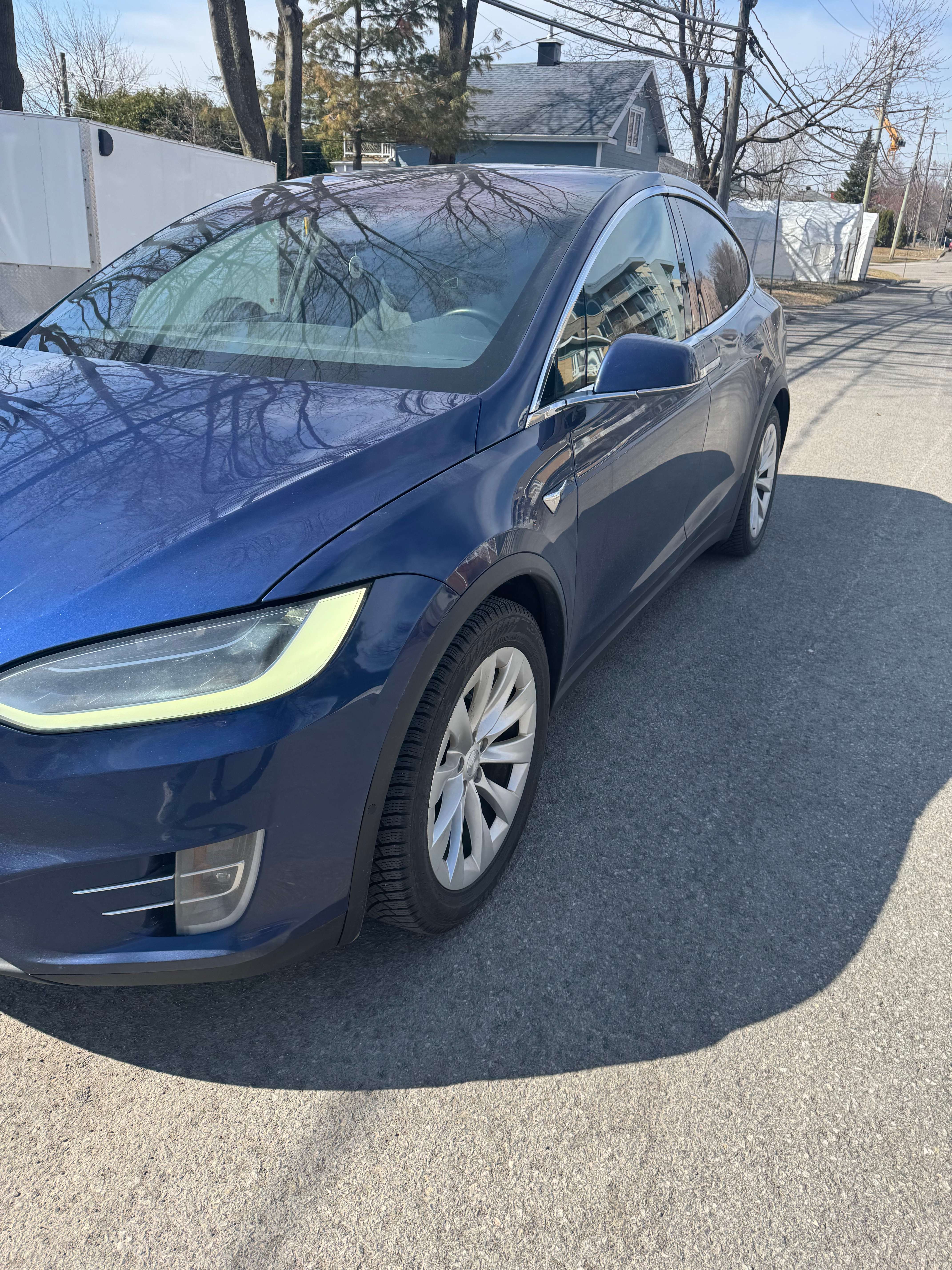 2019 Tesla Model X 100D alt 2