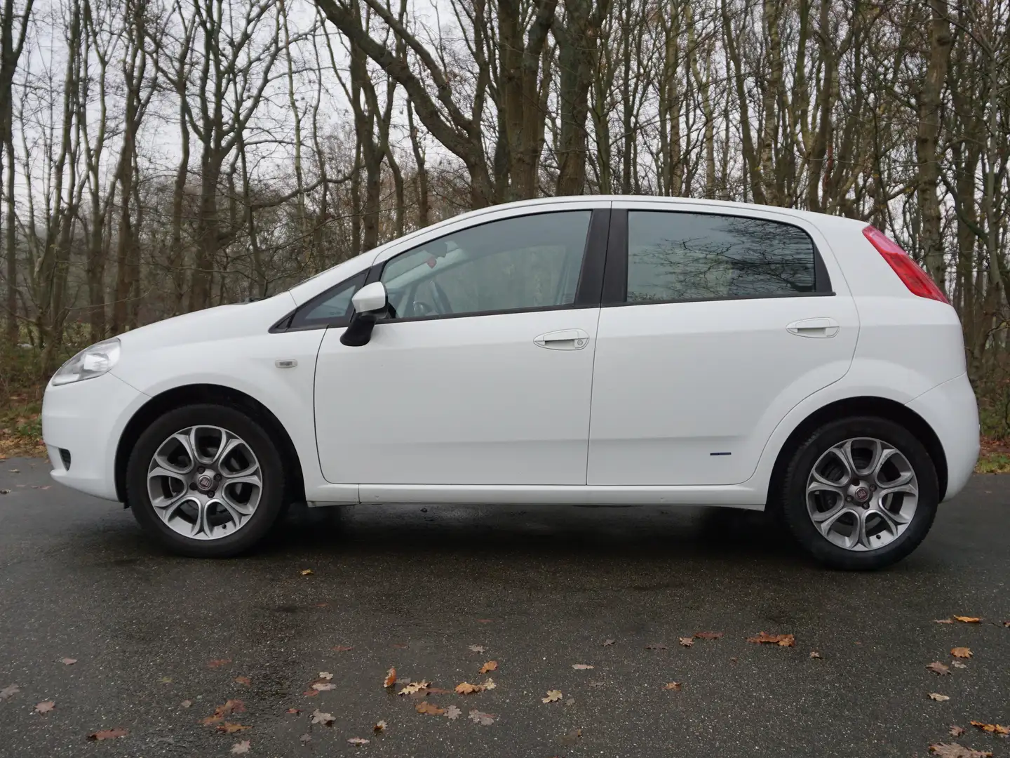 Fiat Punto Punto 1.4 Dynamic Fehér - 2