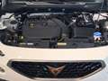 CUPRA Formentor 1.5TSI DSG  wireless rse app Rückfahrk Weiß - thumbnail 14