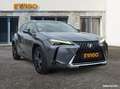 Lexus 2.0 250 h 184h 150 hev 1.4kwh luxe plus 2wd bva suivi carrosserie traitement ceramique Gris - thumbnail 19