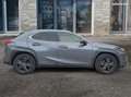 Lexus 2.0 250 h 184h 150 hev 1.4kwh luxe plus 2wd bva suivi carrosserie traitement ceramique Gris - thumbnail 24