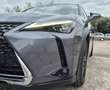 Lexus 2.0 250 h 184h 150 hev 1.4kwh luxe plus 2wd bva suivi carrosserie traitement ceramique Gris - thumbnail 16