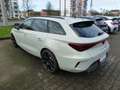 CUPRA Leon Sportstourer VZ 2.0 TSI (333 PS) 4Drive DSG Grau - thumbnail 12