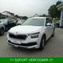 Skoda Kamiq TSI Ambition PDC*beh.Frontschei*AHK*KAMERA Blanc - thumbnail 7