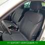 Skoda Kamiq TSI Ambition PDC*beh.Frontschei*AHK*KAMERA Blanc - thumbnail 28