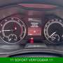 Skoda Kamiq TSI Ambition PDC*beh.Frontschei*AHK*KAMERA Blanc - thumbnail 34