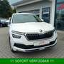 Skoda Kamiq TSI Ambition PDC*beh.Frontschei*AHK*KAMERA Blanc - thumbnail 10