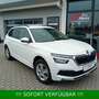 Skoda Kamiq TSI Ambition PDC*beh.Frontschei*AHK*KAMERA Blanc - thumbnail 12