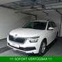 Skoda Kamiq TSI Ambition PDC*beh.Frontschei*AHK*KAMERA Blanc - thumbnail 1