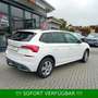 Skoda Kamiq TSI Ambition PDC*beh.Frontschei*AHK*KAMERA Blanc - thumbnail 13
