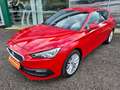 SEAT Leon e-Hybrid SEAT LEON SPORTSTOURER e-Hybrid 204 DSG6 Xcellence Rojo - thumbnail 5