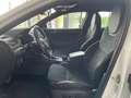 Skoda Superb Kombi 2,0 TDI Sportline DSG, Canton, AHK Weiß - thumbnail 27