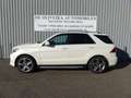 Mercedes-Benz GLE 350 350 d 258ch Sportline 4Matic 9G-Tronic Blanco - thumbnail 2