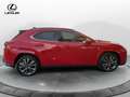 Lexus UX 300h LEXUS UX 300h 4WD F-Sport Rouge - thumbnail 7