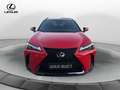 Lexus UX 300h LEXUS UX 300h 4WD F-Sport Rouge - thumbnail 5