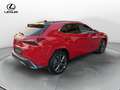 Lexus UX 300h LEXUS UX 300h 4WD F-Sport Rouge - thumbnail 6