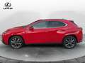 Lexus UX 300h LEXUS UX 300h 4WD F-Sport Rouge - thumbnail 2