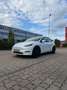 Tesla Model Y Performance Dual Motor AWD - thumbnail 13