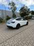 Tesla Model Y Performance Dual Motor AWD - thumbnail 5