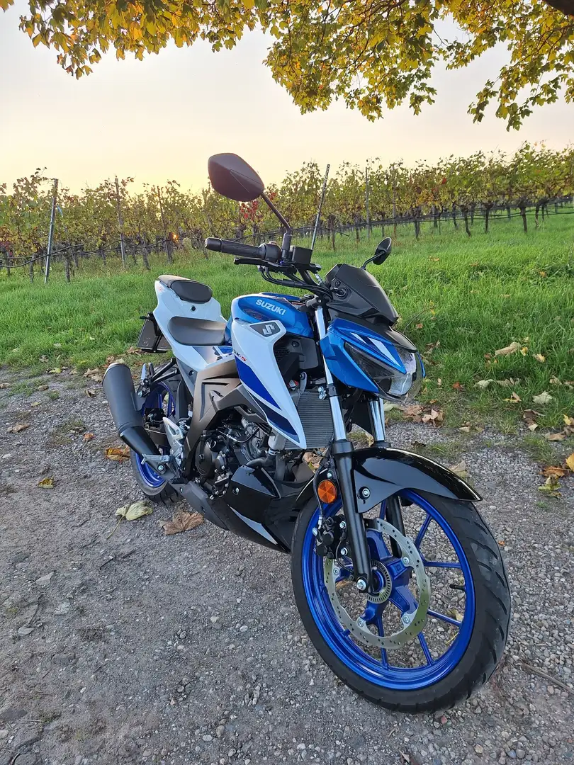 Suzuki GSX-S 125 Azul - 2