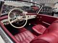 Mercedes-Benz SL 190 W121 Cabrio/Roadster*Traumzustand*Gutachten Blanc - thumbnail 36