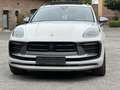 Porsche Macan T PANORAMA*KAMERA*21 TURBO*ABSTANDSREGELTE Gris - thumbnail 22