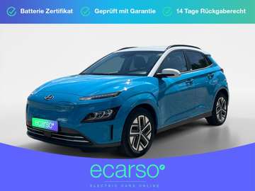 Trend Elektro 2WD