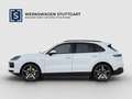Porsche Cayenne Cayenne E-Hybrid 22" Leder Luft 360 Cam Pano Inno Weiß - thumbnail 3