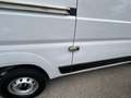 Fiat Ducato FIAT DUCATO 33 MH2 2.2 Multijet 3 140CV E6D-final Weiß - thumbnail 13