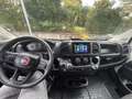 Fiat Ducato FIAT DUCATO 33 MH2 2.2 Multijet 3 140CV E6D-final Weiß - thumbnail 8