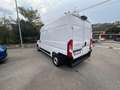 Fiat Ducato FIAT DUCATO 33 MH2 2.2 Multijet 3 140CV E6D-final Weiß - thumbnail 4