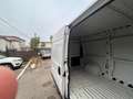 Fiat Ducato FIAT DUCATO 33 MH2 2.2 Multijet 3 140CV E6D-final Weiß - thumbnail 11