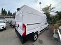 Fiat Ducato FIAT DUCATO 33 MH2 2.2 Multijet 3 140CV E6D-final Weiß - thumbnail 3