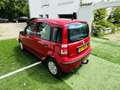 Fiat New Panda Crit air 2 Rojo - thumbnail 7
