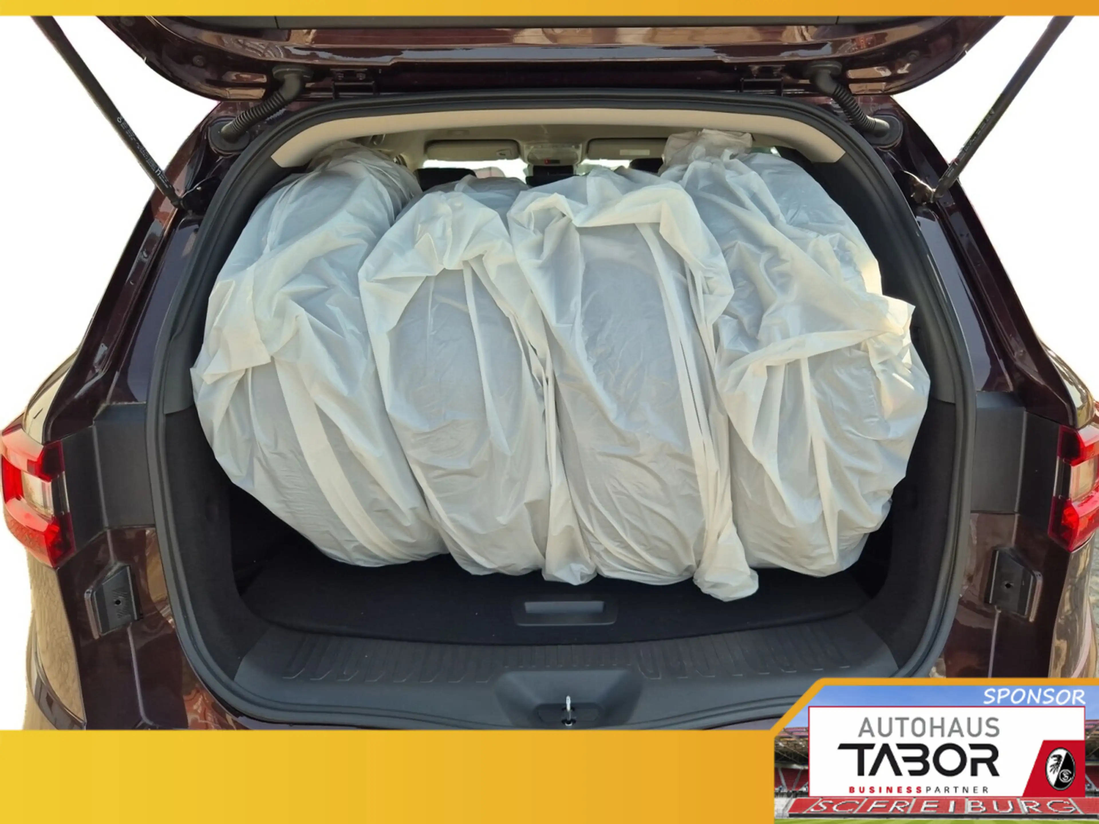 Renault Koleos II 1.3 TCe 160 EDC Zen LED Nav Tempomat — photo 10