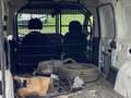 Fiat Doblo MAXI Cargo Euro6B 1.6 Diesel Manuale + IVA Bianco - thumbnail 5
