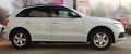 Audi Q5 2.0 TDI clean diesel quattro - thumbnail 6