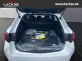 Toyota Corolla Touring Sports Hybrid Business Edition 1.8 EU6e Na Weiß - thumbnail 8