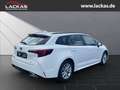 Toyota Corolla Touring Sports Hybrid Business Edition 1.8 EU6e Na Weiß - thumbnail 5