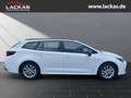 Toyota Corolla Touring Sports Hybrid Business Edition 1.8 EU6e Na Weiß - thumbnail 3