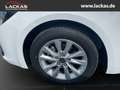 Toyota Corolla Touring Sports Hybrid Business Edition 1.8 EU6e Na Weiß - thumbnail 7