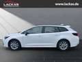 Toyota Corolla Touring Sports Hybrid Business Edition 1.8 EU6e Na Weiß - thumbnail 6