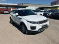 Land Rover Range Rover Evoque Pure Weiß - thumbnail 2