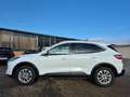 Ford Kuga Plug-In Hybrid Titanium X AHK abn. Winterräder Sch Weiß - thumbnail 7