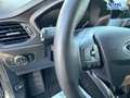 Ford Focus 1.0 EcoBoost Mild-Hybrid Cool&Connect S/S (E 92... Grau - thumbnail 15