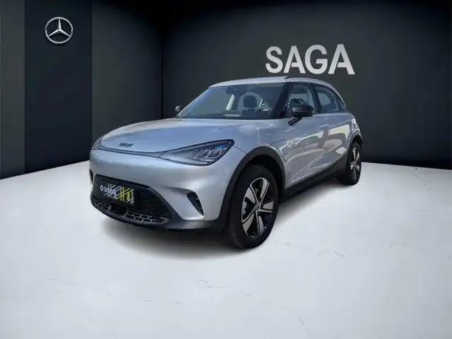 smart #1 (01.2023-) 200kW Pure