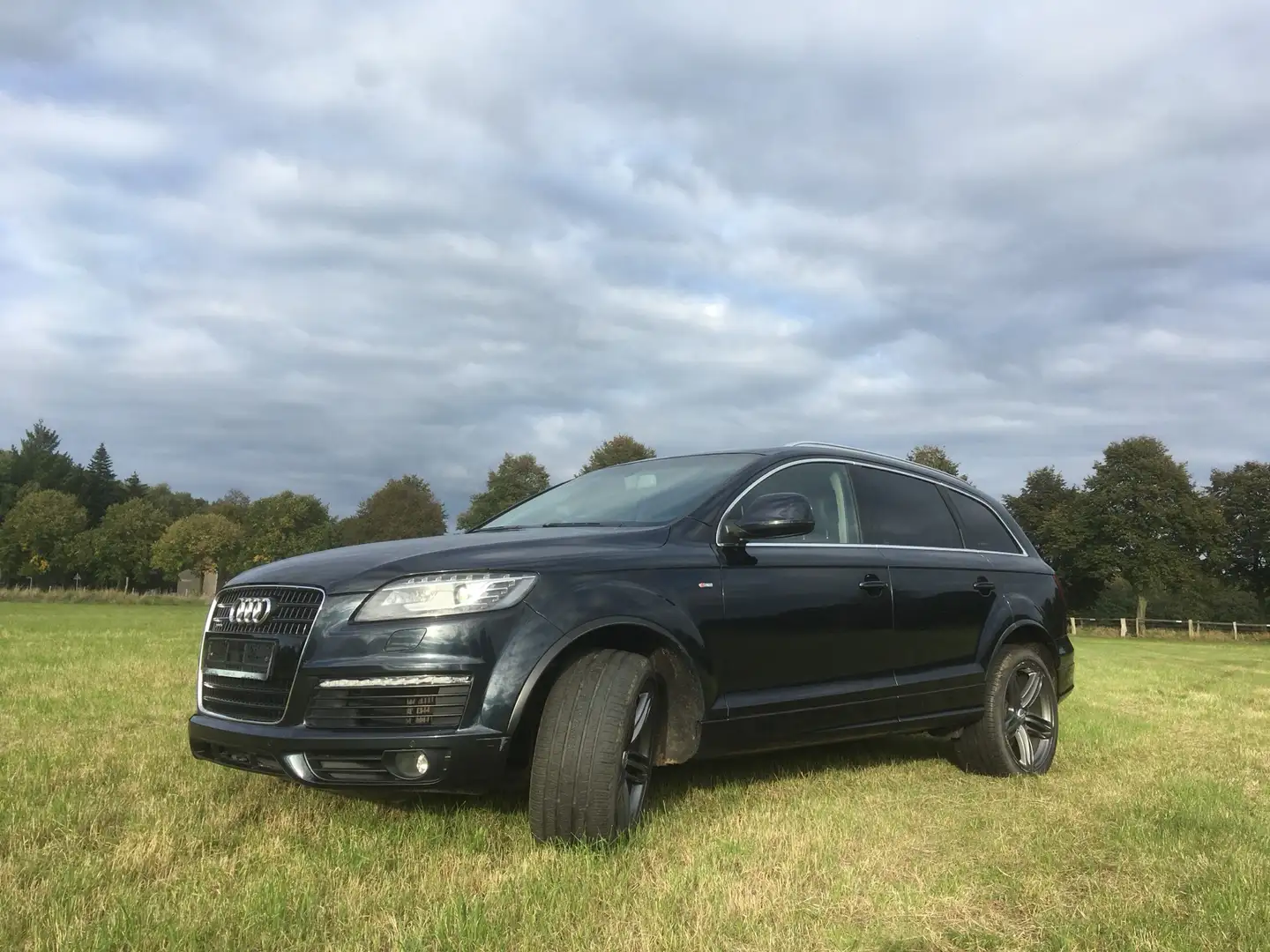 Audi Q7 Q7+4.2+TDI+DPF+quattro+tiptronic Albastru - 1