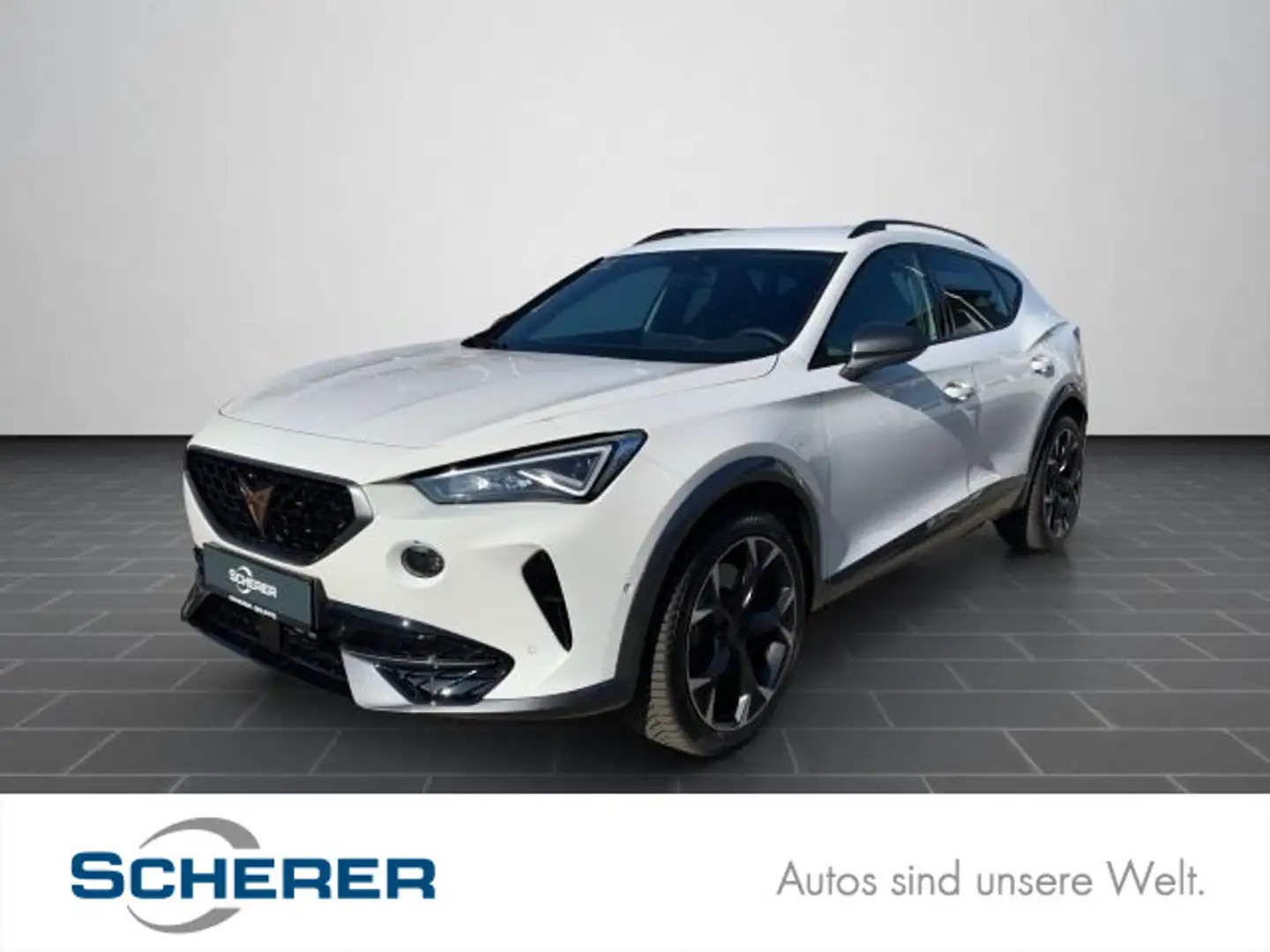 CUPRA Formentor VZ 2.0 TSI DSG 4Drive NAVI FULL LINK V Weiß - 1
