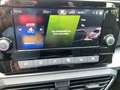 SEAT Leon Style 1.0 TSI 110 PS Schwarz - thumbnail 15